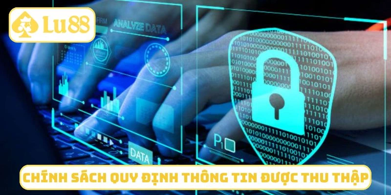 Chính sách bảo mật quy định các thông tin được thu thập