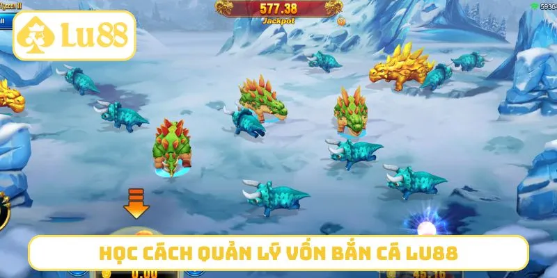Học cách quản lý vốn bắn cá LU88